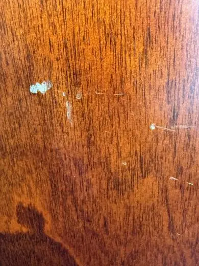 Seagull Guitars - S46423 2