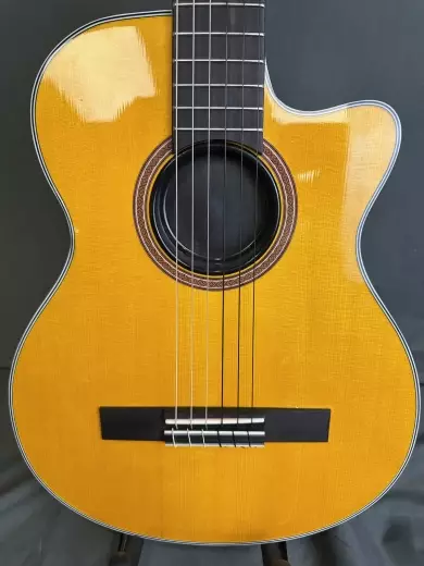 Epiphone - EECCANNH 2