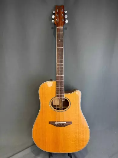 WASHBURN DC60 LEXINGTON STEPHAN DAVIES