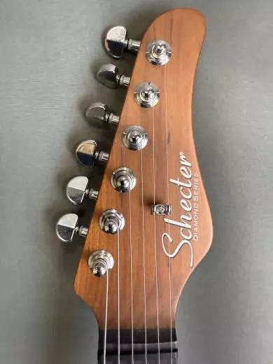 Store Special Product - Schecter - 1542-SHC