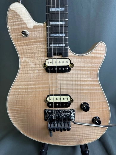 EVH - 510-7920-858 2