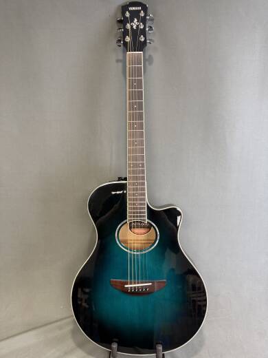 Store Special Product - Yamaha - APX600 OBB
