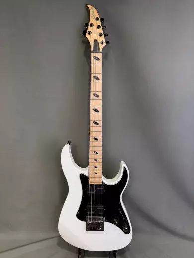 CAPARISON DELLINGER-JSM