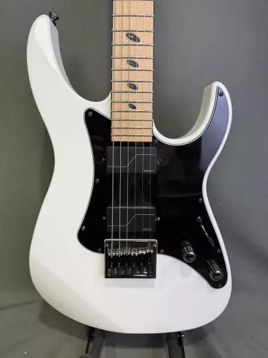 CAPARISON DELLINGER-JSM 2