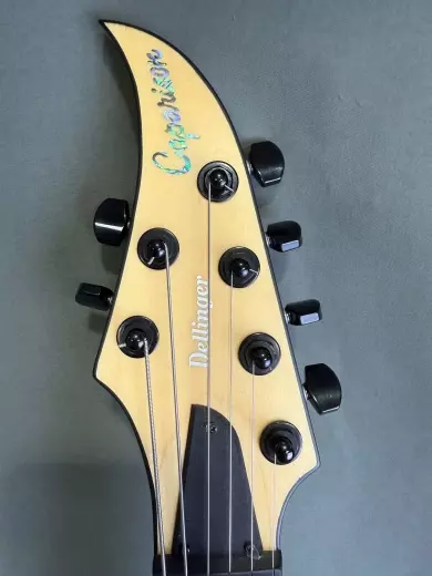 CAPARISON DELLINGER-JSM 2