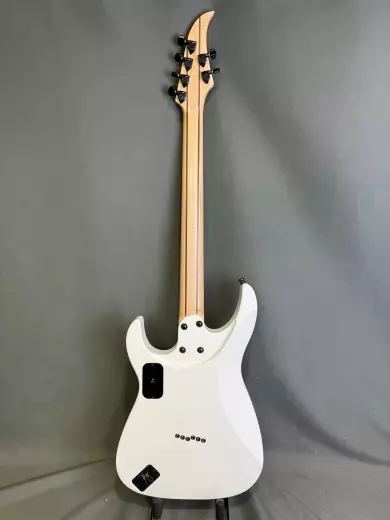 CAPARISON DELLINGER-JSM 2