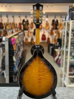 Gold Tone - GM-50+ 2