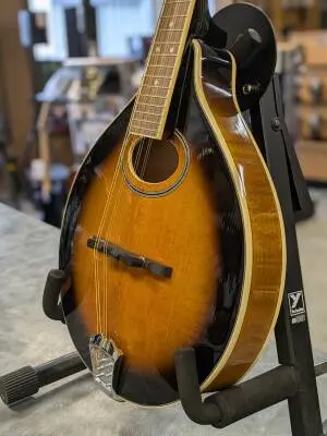 Gold Tone - GM-50+ 2