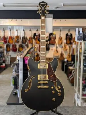 Ibanez - AS73GBKF