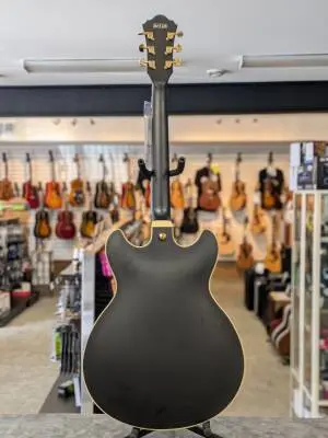 Ibanez - AS73GBKF 2