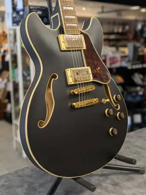 Ibanez - AS73GBKF 2