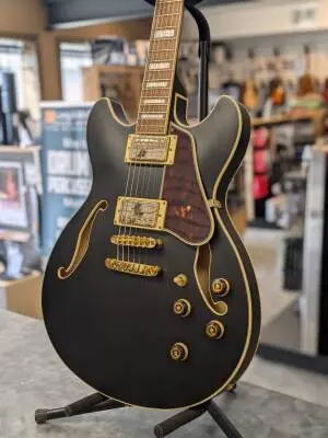 Ibanez - AS73GBKF 2