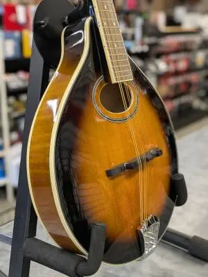 Gold Tone - GM-50+ 2