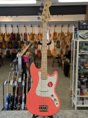 Squier - 037-3802-511