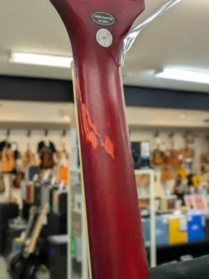 Epiphone - EL59ADCNH 2