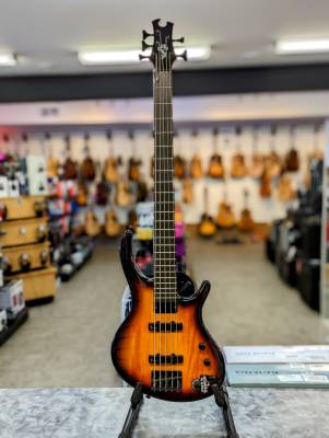 5弦希少　美品　Epiphone Toby by Tobias Deluxe V Toby Deluxe-V - Ebony | Sweetwater