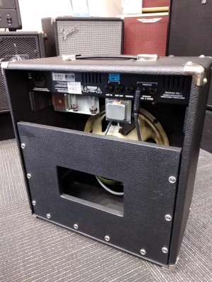 Store Special Product - Traynor - YGL1