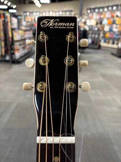 Store Special Product - Norman - N51892