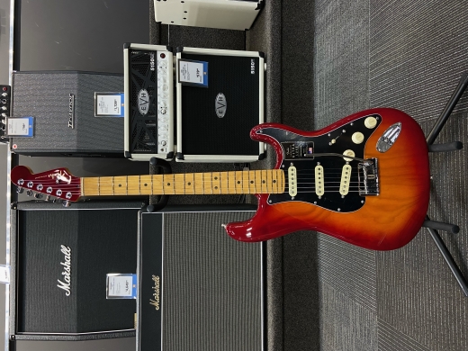 Fender - 011-8062-773