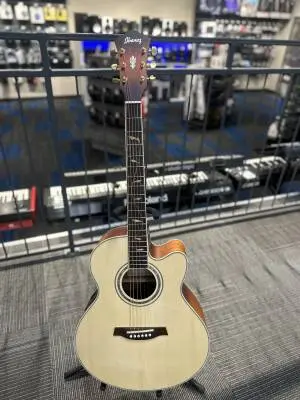 IBANEZ ACOUSTIC