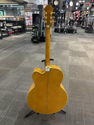 Store Special Product - Epiphone - EJ200CEVNGH