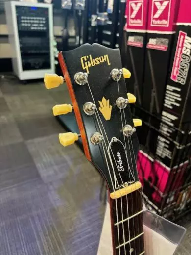 Store Special Product - Gibson - SGTR00VCNH