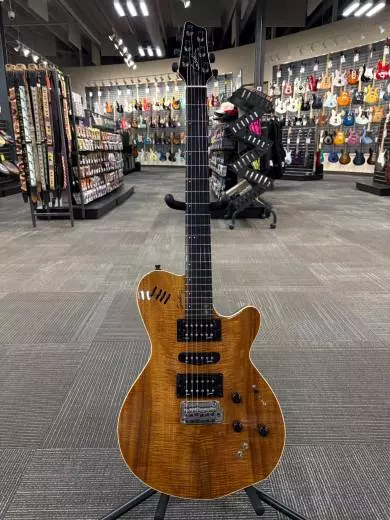 Godin Guitars - G41497