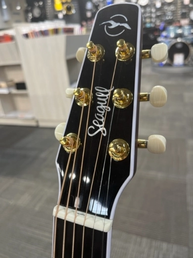 Seagull Guitars - S50567 3