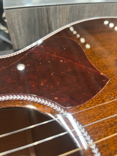 Seagull Guitars - S50567 6
