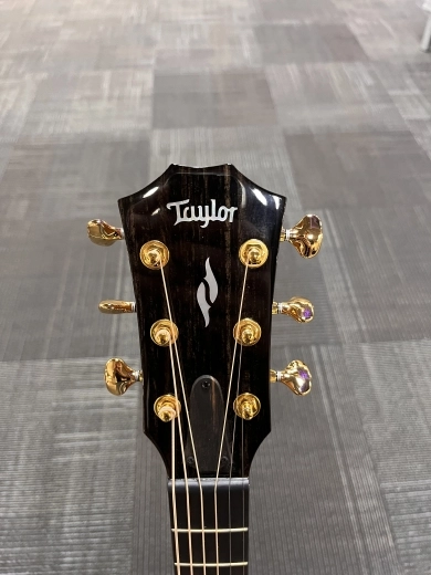 Taylor Guitars - GT811E 5
