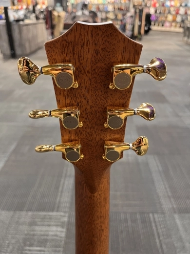 Taylor Guitars - GT811E 6