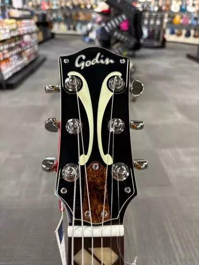 Godin Guitars - G51519 2