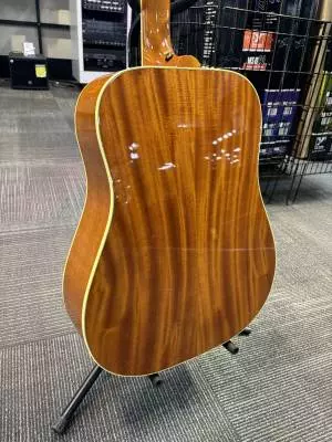 Gibson - ACOHBHCGH 2