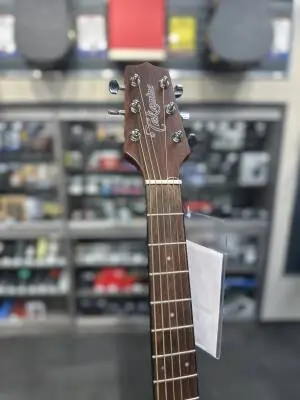Takamine Guitar 2