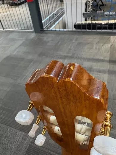 TAKAMINE EG522C NYLON 4