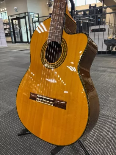 TAKAMINE EG522C NYLON 5