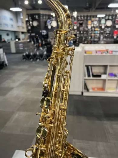 Carlton - CAS100 2