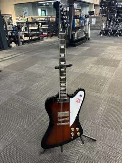 Epiphone - EIFBVSNH 2
