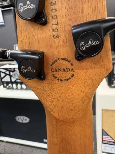 Godin Guitars - G53438 2