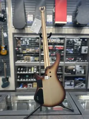 Ibanez - EHB600CCM 2