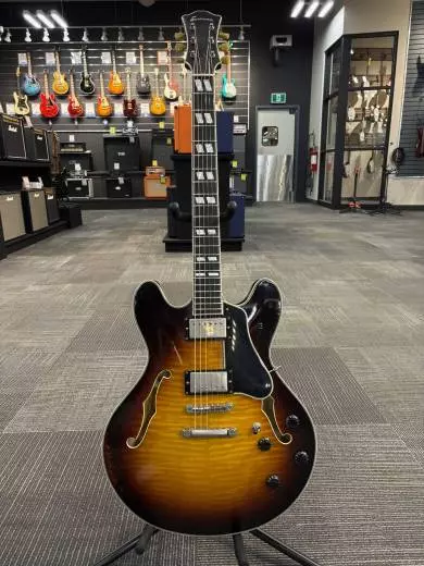 Eastman Guitars - T59/V-SB