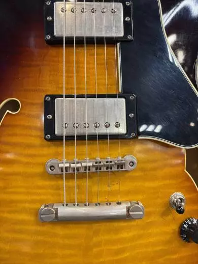 Eastman Guitars - T59/V-SB 2