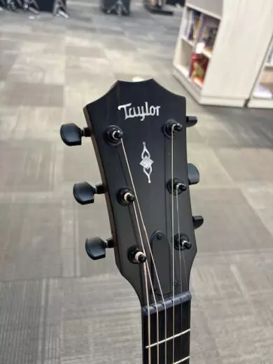 Taylor Guitars - 324CE V9 2