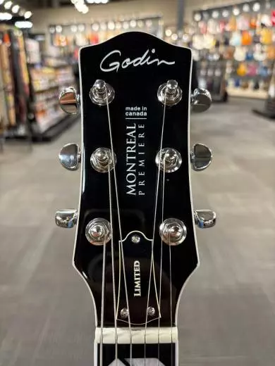 Godin Guitars - G51595 2