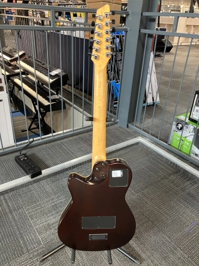 Godin Guitars - G25343 2