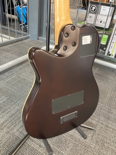 Godin Guitars - G25343 2