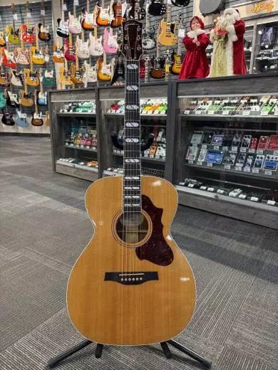 Godin Guitars - G48397