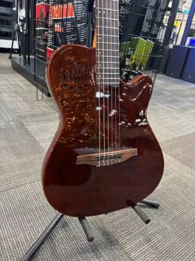 Store Special Product - Godin Guitars - G52417