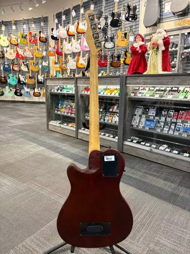 Godin Guitars - G50796 2