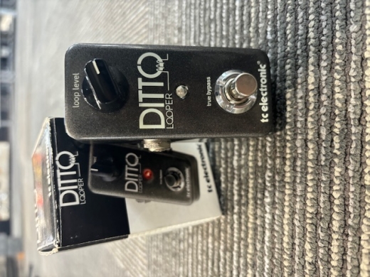 TC Electronic - DITTO LOOPER